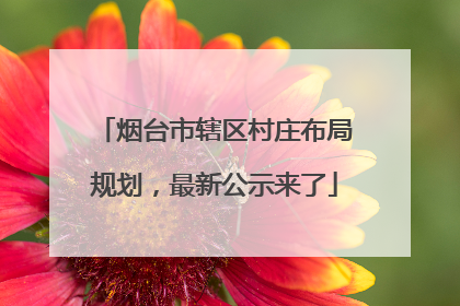 烟台市辖区村庄布局规划，最新公示来了