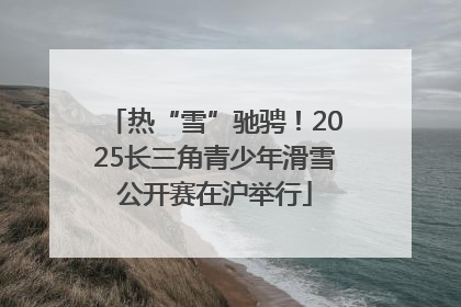 热“雪”驰骋！2025长三角青少年滑雪公开赛在沪举行