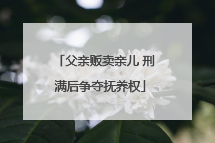 父亲贩卖亲儿 刑满后争夺抚养权