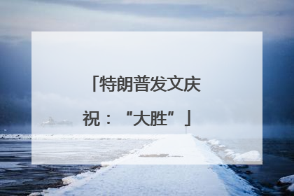 特朗普发文庆祝：“大胜”