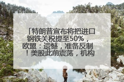 特朗普宣布将把进口钢铁关税提至50%，欧盟：遗憾，准备反制！美股此前震荡，机构：美元正进入熊市