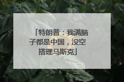 特朗普：我满脑子都是中国，没空搭理马斯克