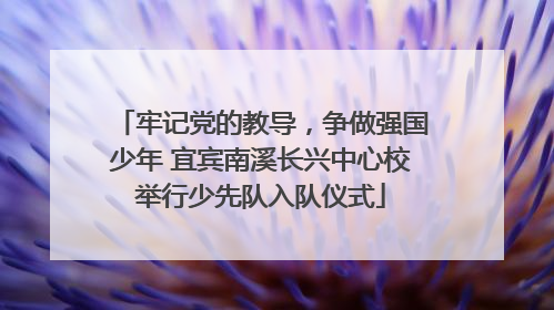 牢记党的教导，争做强国少年 宜宾南溪长兴中心校举行少先队入队仪式