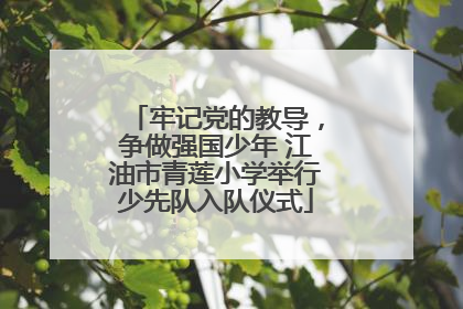 牢记党的教导，争做强国少年 江油市青莲小学举行少先队入队仪式