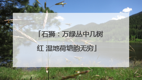 石狮：万绿丛中几树红 湿地荷塘韵无穷