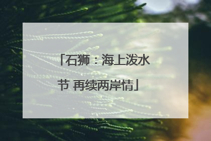 石狮：海上泼水节 再续两岸情