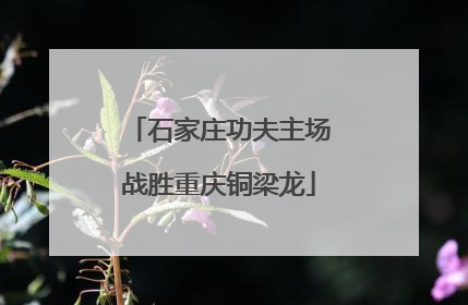 石家庄功夫主场战胜重庆铜梁龙
