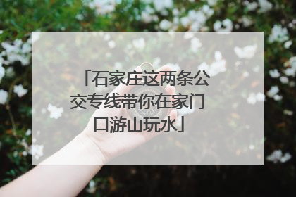 石家庄这两条公交专线带你在家门口游山玩水