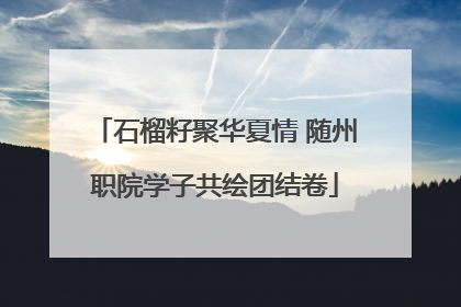 石榴籽聚华夏情 随州职院学子共绘团结卷