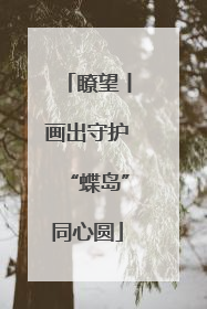 瞭望丨画出守护“蝶岛”同心圆