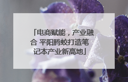 电商赋能，产业融合 平阳腾蛟打造笔记本产业新高地