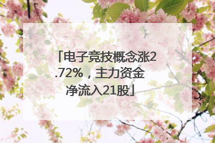 电子竞技概念涨2.72%，主力资金净流入21股