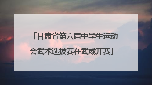 甘肃省第六届中学生运动会武术选拔赛在武威开赛