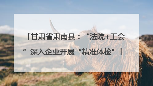 甘肃省肃南县：“法院+工会”深入企业开展“精准体检”