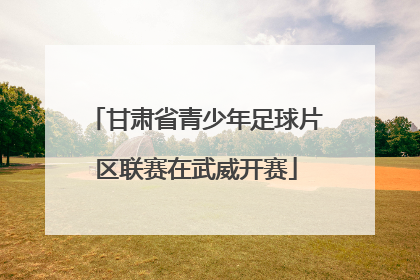 甘肃省青少年足球片区联赛在武威开赛