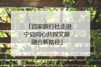 百家旅行社走进宁夏同心共探文旅融合新路径