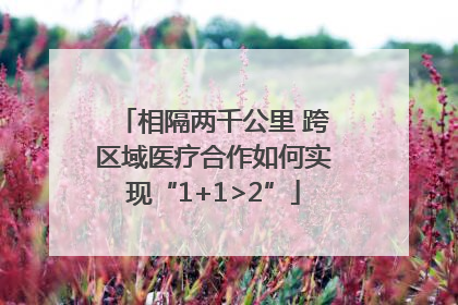 相隔两千公里 跨区域医疗合作如何实现“1+1>2”