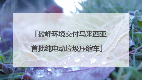 盈峰环境交付马来西亚首批纯电动垃圾压缩车