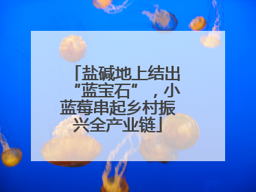 盐碱地上结出“蓝宝石”，小蓝莓串起乡村振兴全产业链