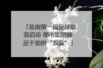 盐南第一届足球联赛启幕 都市集团铆足干劲拼“双赢”