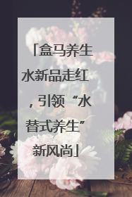 盒马养生水新品走红，引领“水替式养生”新风尚