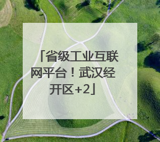 省级工业互联网平台！武汉经开区+2