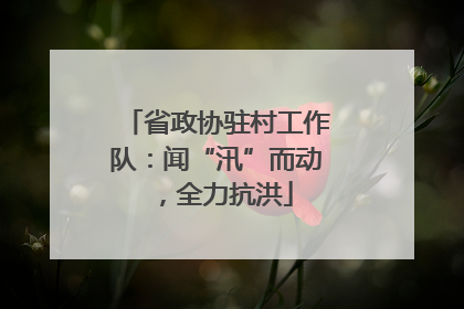 省政协驻村工作队：闻“汛”而动，全力抗洪