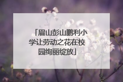 眉山彭山鹏利小学让劳动之花在校园绚丽绽放