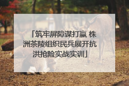 筑牢屏障谋打赢 株洲茶陵组织民兵展开抗洪抢险实战实训
