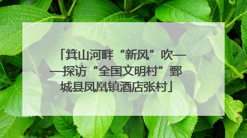 箕山河畔“新风”吹——探访“全国文明村”鄄城县凤凰镇酒店张村