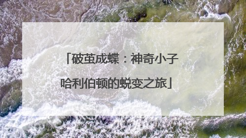破茧成蝶：神奇小子哈利伯顿的蜕变之旅