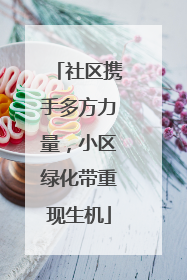 社区携手多方力量，小区绿化带重现生机
