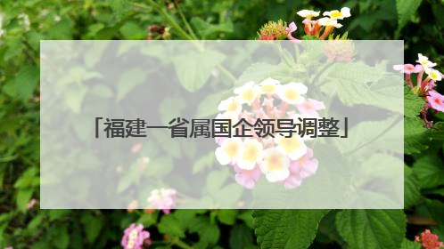 福建一省属国企领导调整