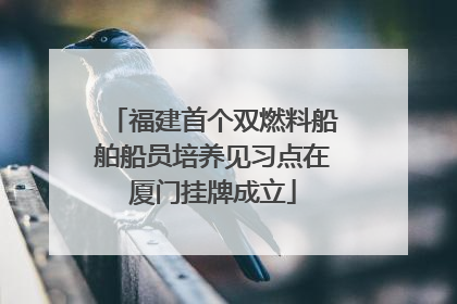 福建首个双燃料船舶船员培养见习点在厦门挂牌成立