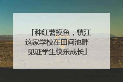 种红薯摸鱼，镇江这家学校在田间池畔见证学生快乐成长