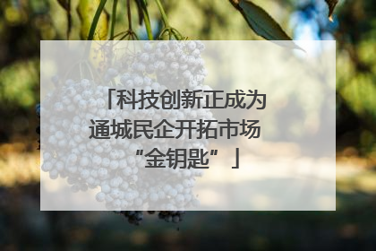 科技创新正成为通城民企开拓市场“金钥匙”