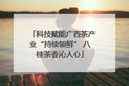 科技赋能广西茶产业“持续领鲜” 八桂茶香沁人心