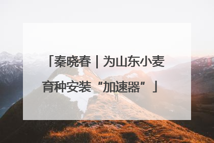 秦晓春｜为山东小麦育种安装“加速器”