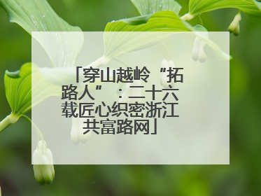 穿山越岭“拓路人”：二十六载匠心织密浙江共富路网