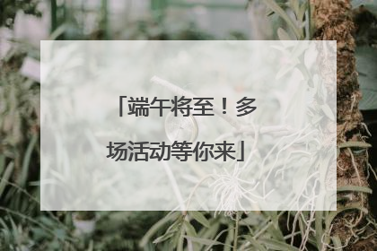 端午将至！多场活动等你来
