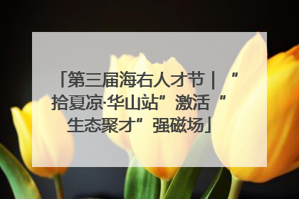 第三届海右人才节｜“拾夏凉·华山站”激活“生态聚才”强磁场
