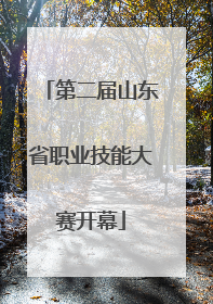 第二届山东省职业技能大赛开幕