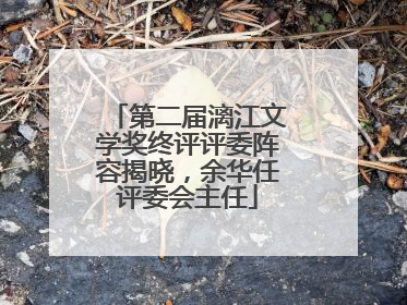 第二届漓江文学奖终评评委阵容揭晓，余华任评委会主任