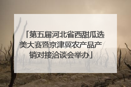 第五届河北省西甜瓜选美大赛暨京津冀农产品产销对接洽谈会举办