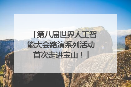 第八届世界人工智能大会路演系列活动首次走进宝山！