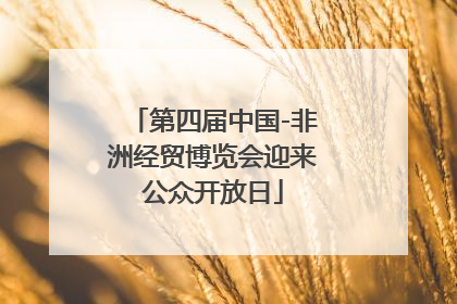 第四届中国-非洲经贸博览会迎来公众开放日