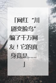 网红“川剧变脸鸟”骗了千万网友！它的真身竟是……