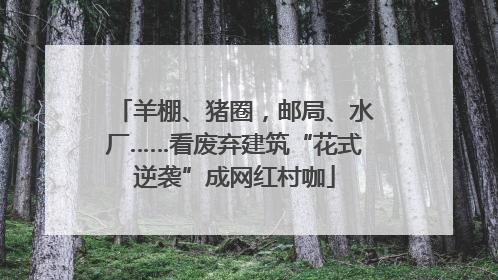 羊棚、猪圈，邮局、水厂……看废弃建筑“花式逆袭”成网红村咖