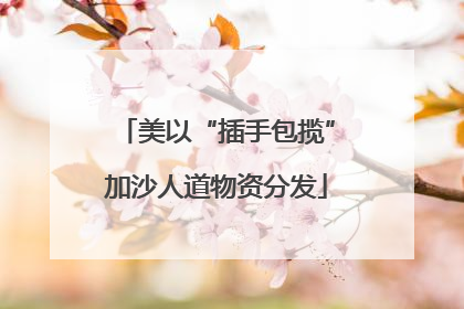 美以“插手包揽”加沙人道物资分发