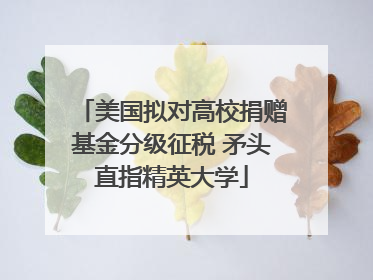 美国拟对高校捐赠基金分级征税 矛头直指精英大学